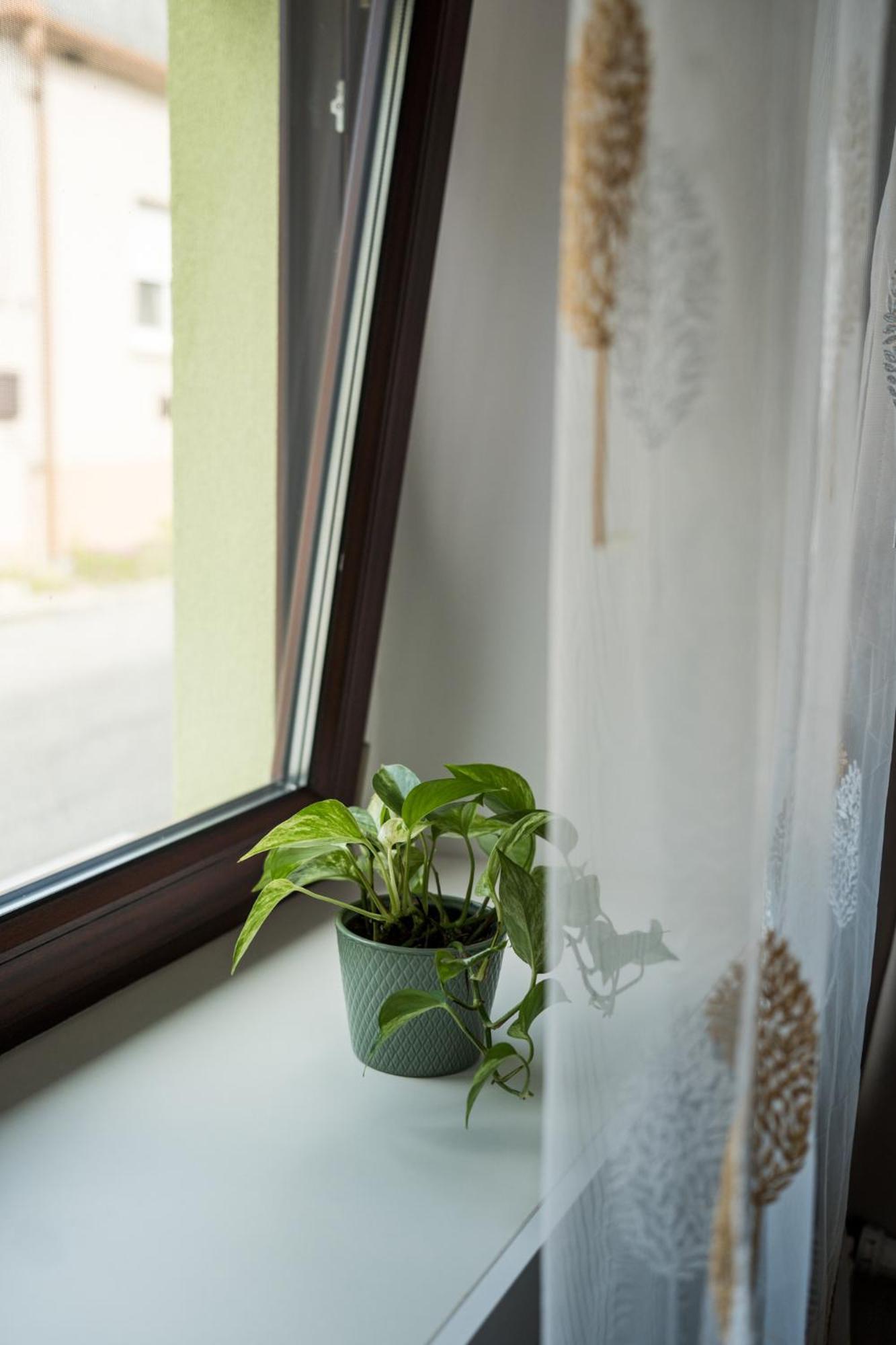 Csipesz_Vendeghaz Apartment ชือเมก ภายนอก รูปภาพ